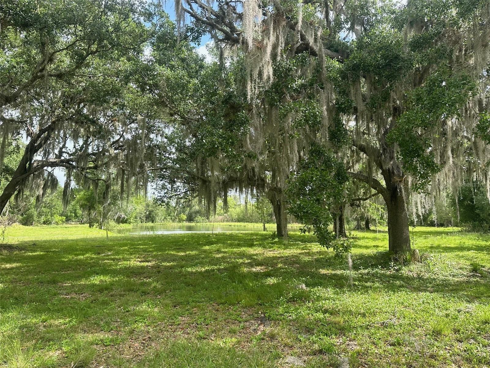 Image 62 of 75 For 5134 Oakwood Avenue