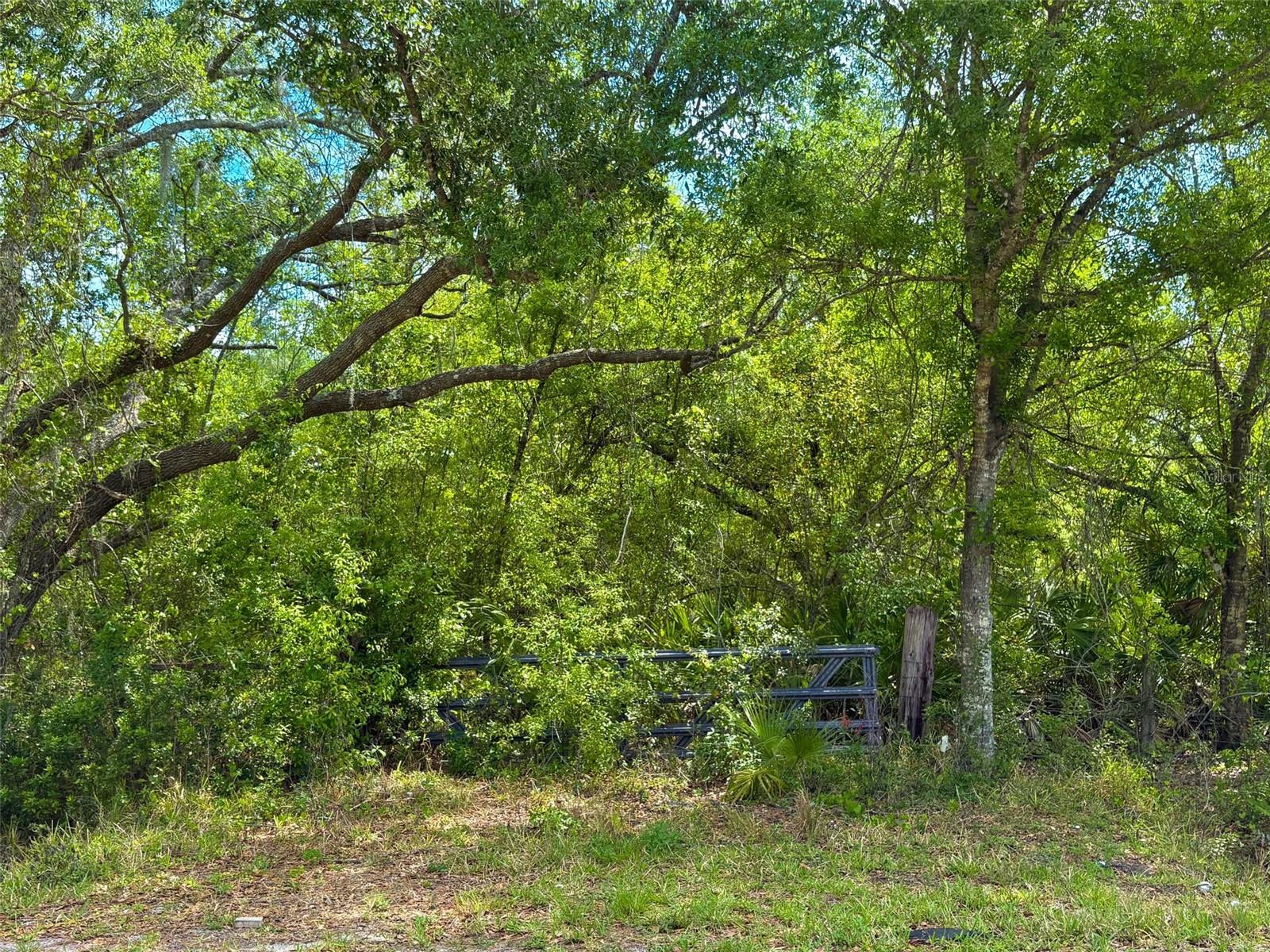 Image 2 of 8 For 1210 Eucalyptus Avenue