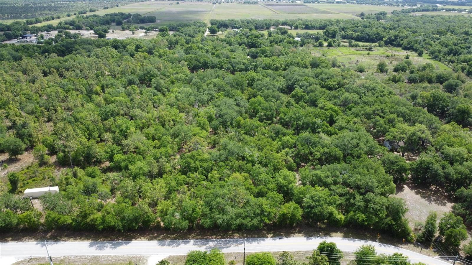 Image 5 of 8 For 1210 Eucalyptus Avenue