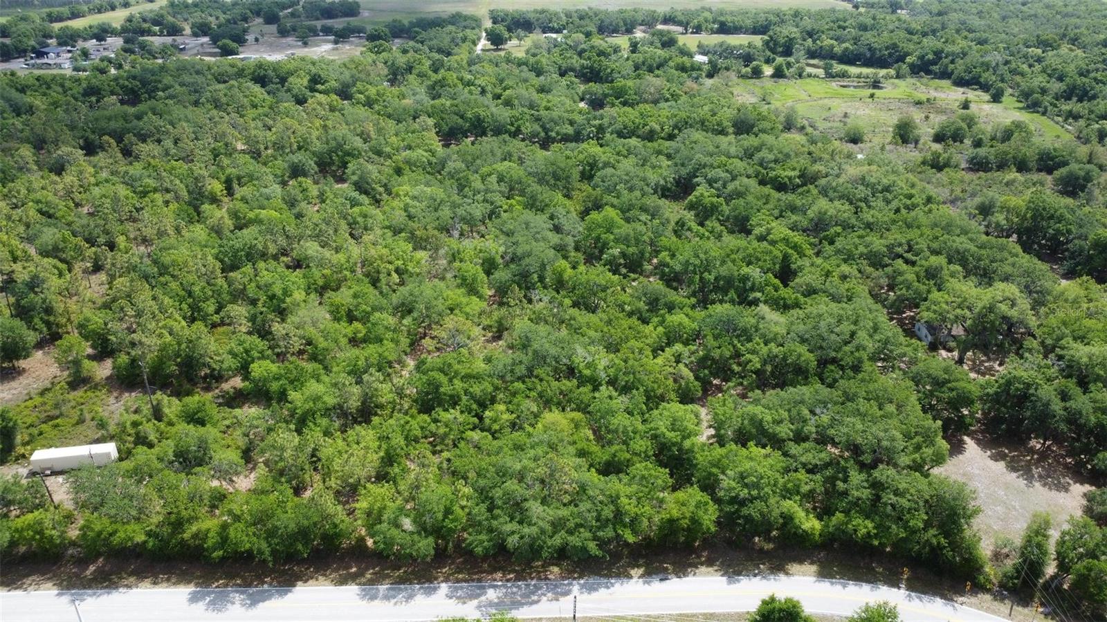 Image 6 of 8 For 1210 Eucalyptus Avenue