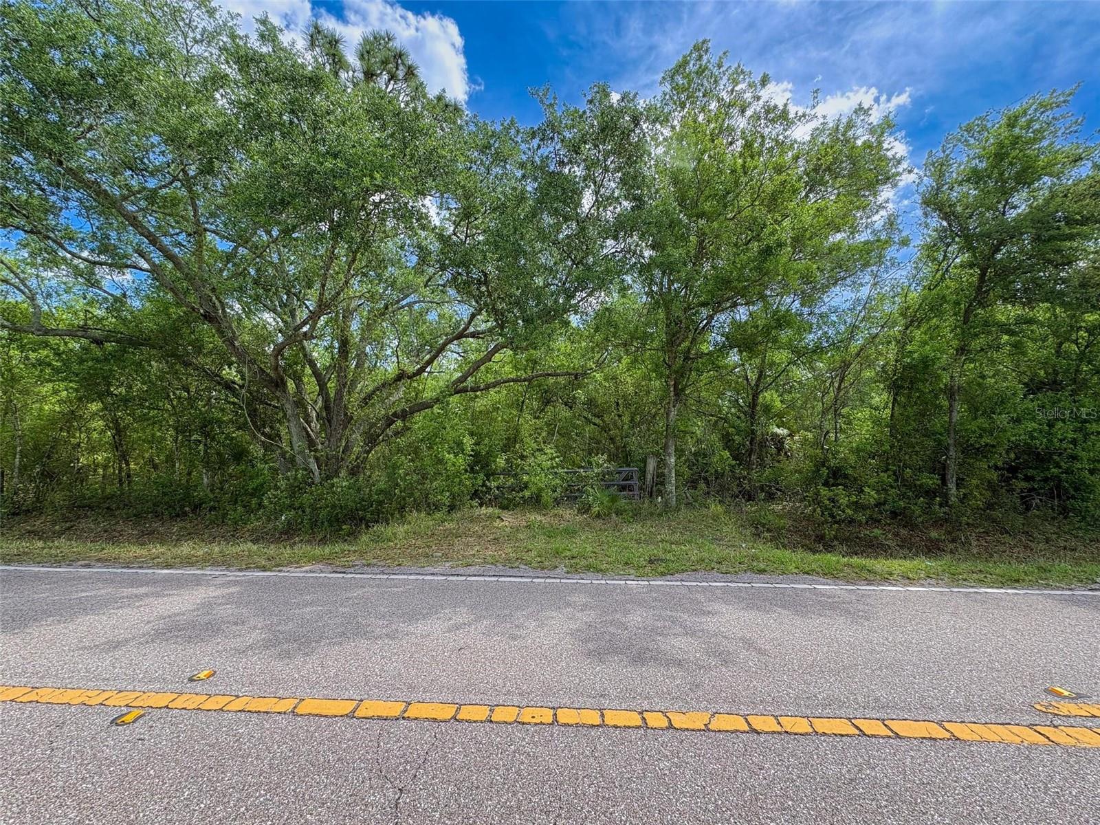 Image 7 of 8 For 1210 Eucalyptus Avenue