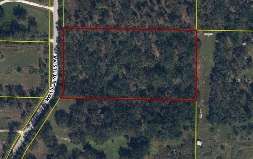 Image 8 of 8 For 1210 Eucalyptus Avenue