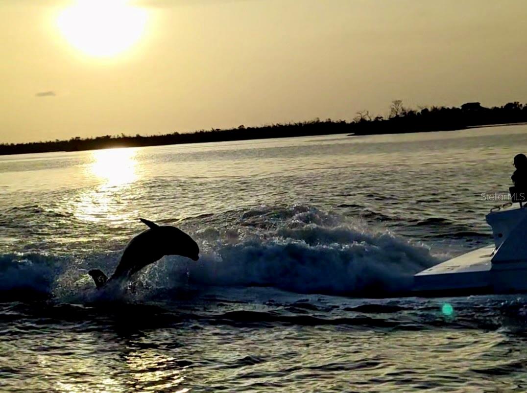 Image 88 of 90 For 15144 Hennipen Circle