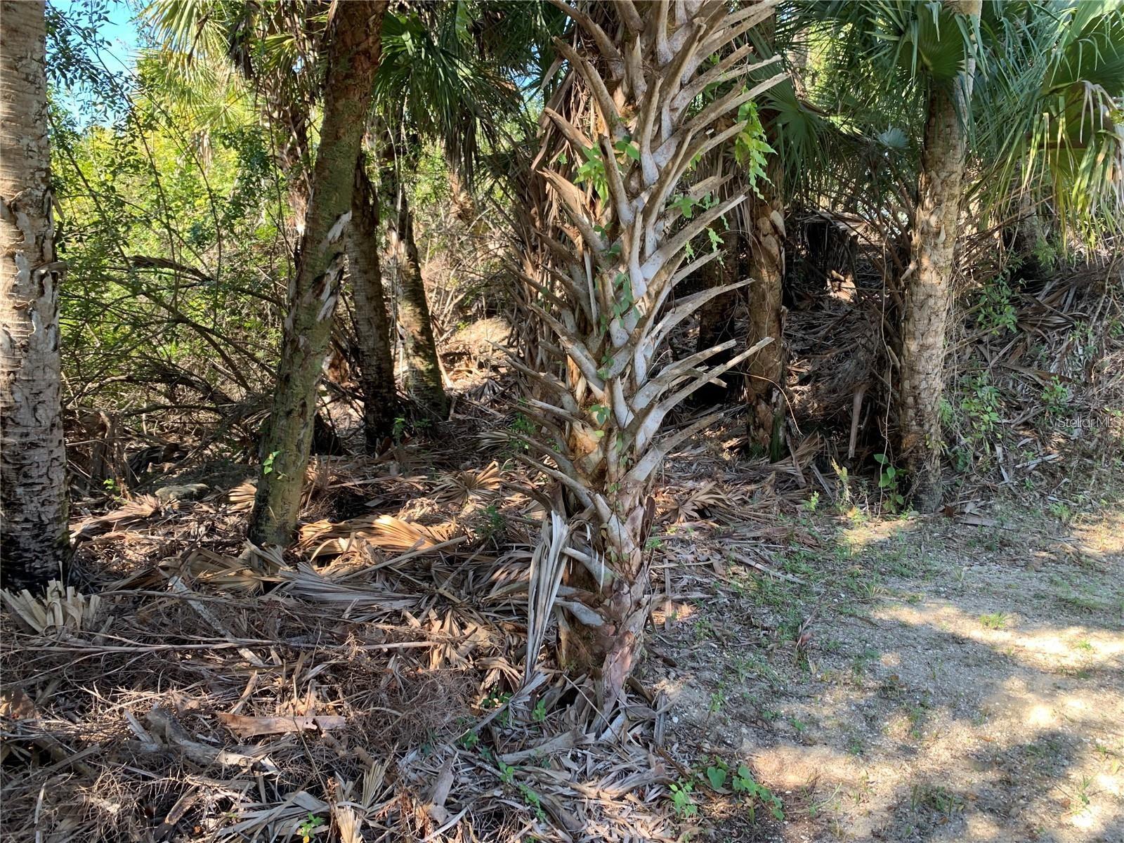 Image 14 of 22 For 1375 Clearview Drive