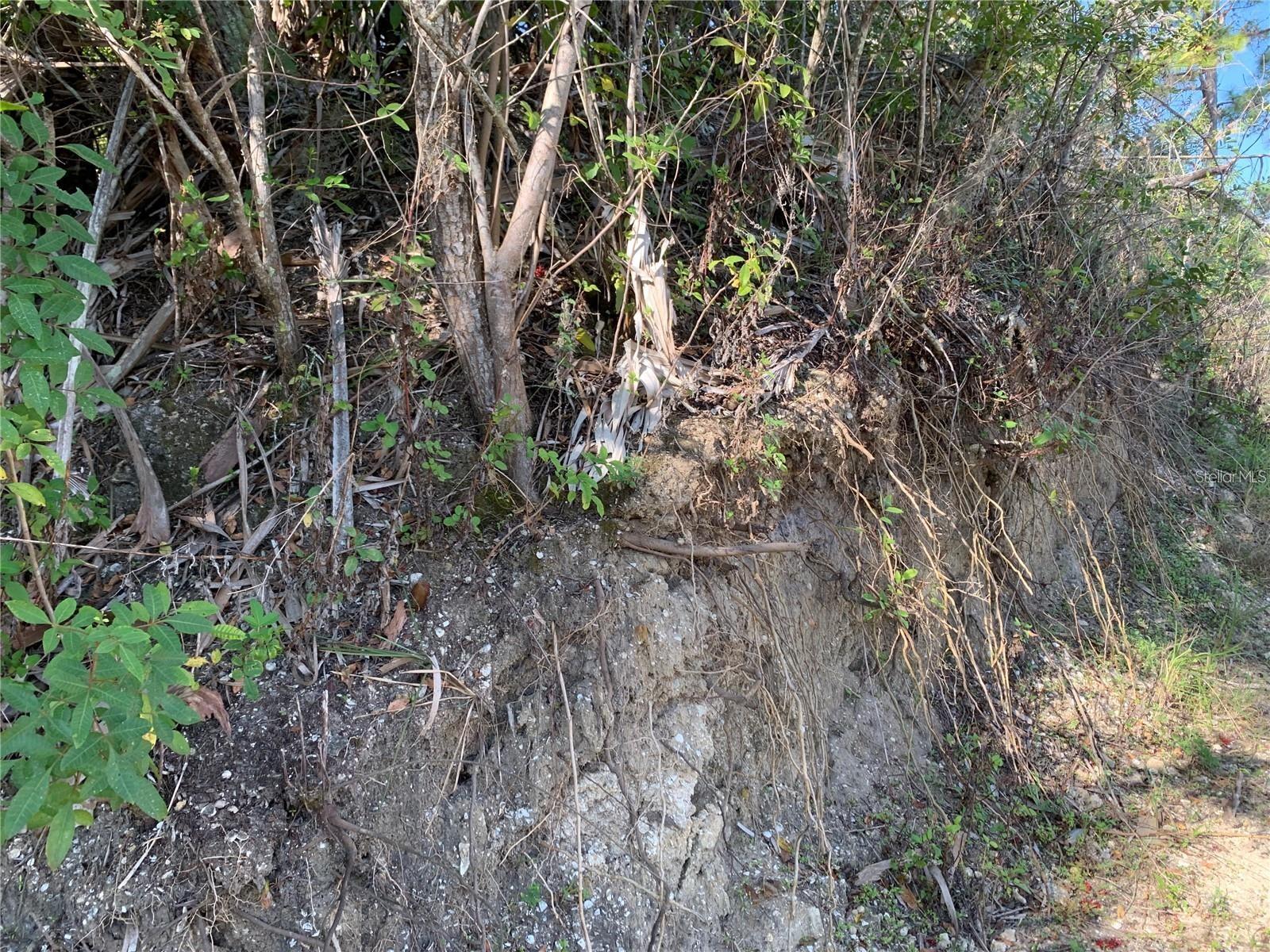 Image 15 of 22 For 1375 Clearview Drive