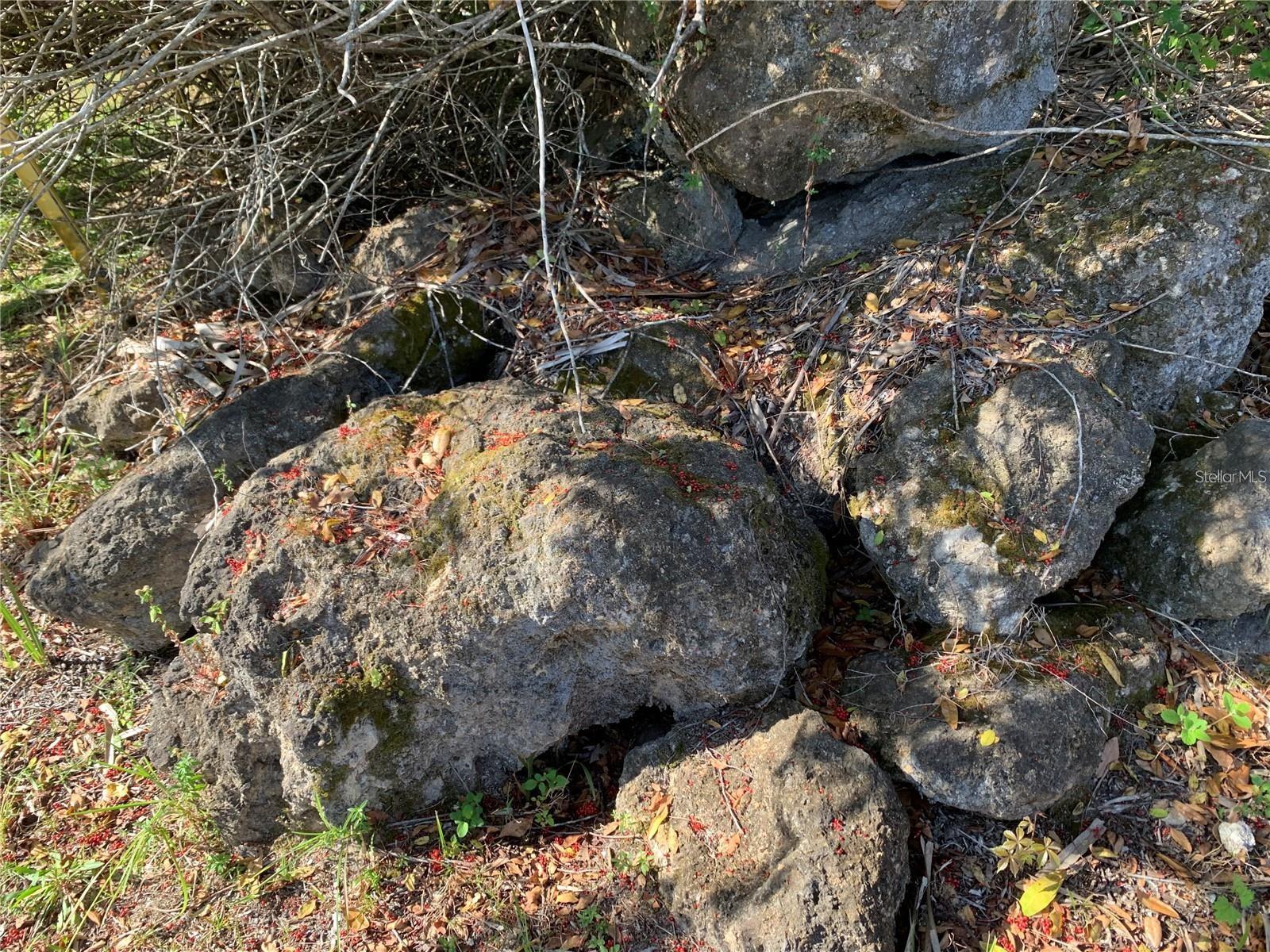 Image 16 of 22 For 1375 Clearview Drive