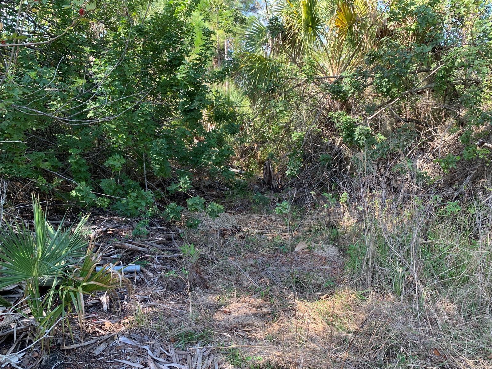 Image 17 of 22 For 1375 Clearview Drive