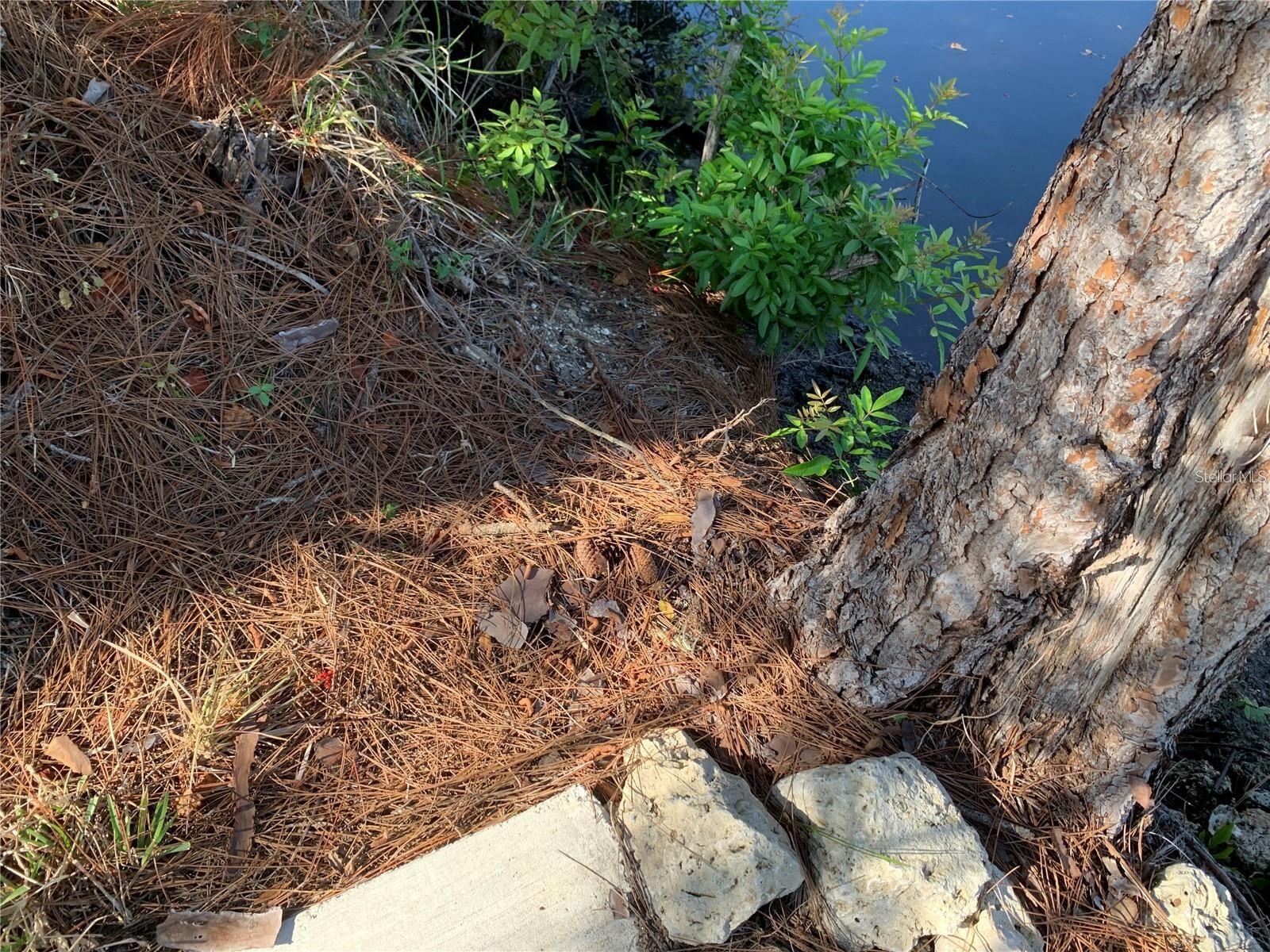 Image 19 of 22 For 1375 Clearview Drive