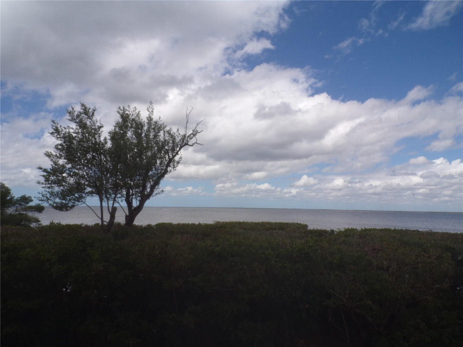 Image 5 of 75 For 101 Marion Court 114