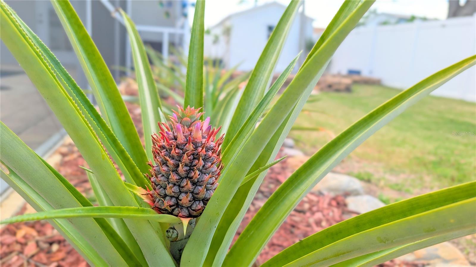 Image 76 of 86 For 23340 Painter Avenue