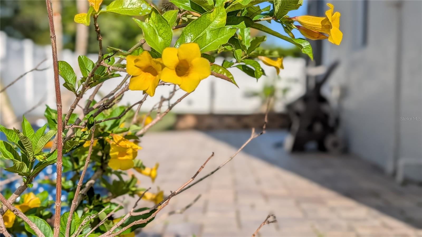 Image 77 of 86 For 23340 Painter Avenue