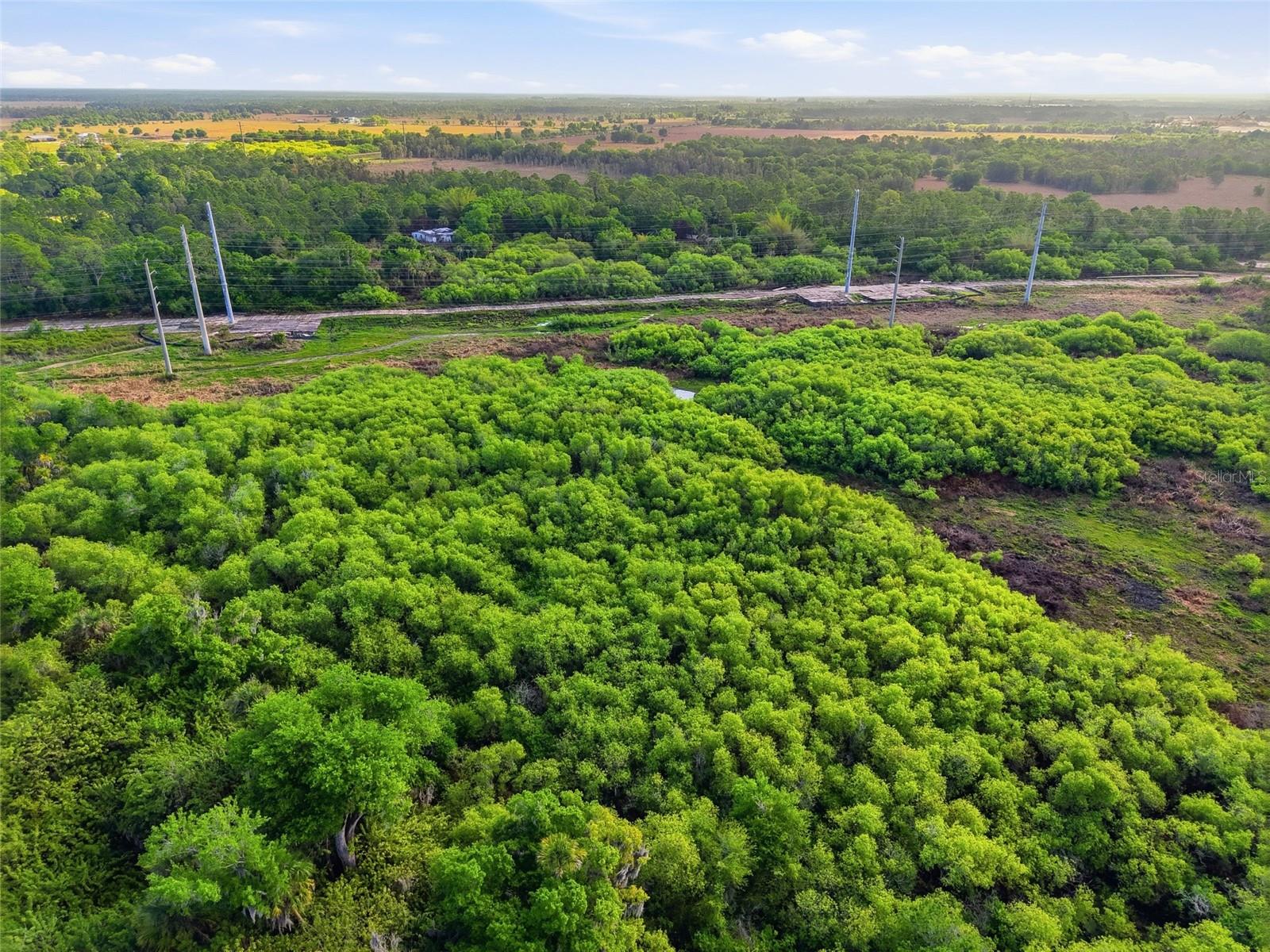 Image 15 of 22 For 22811 Williams Drive