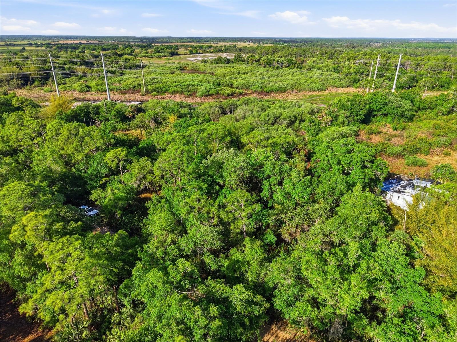 Image 8 of 22 For 22811 Williams Drive