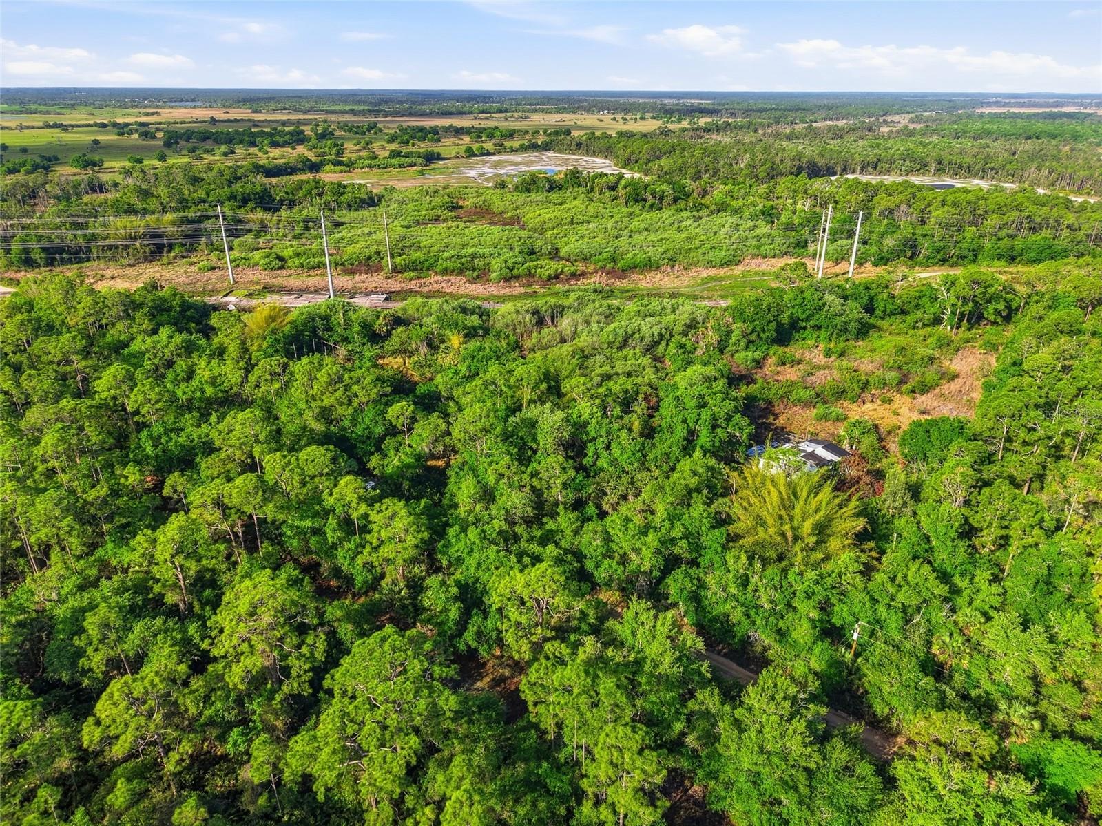 Image 9 of 22 For 22811 Williams Drive