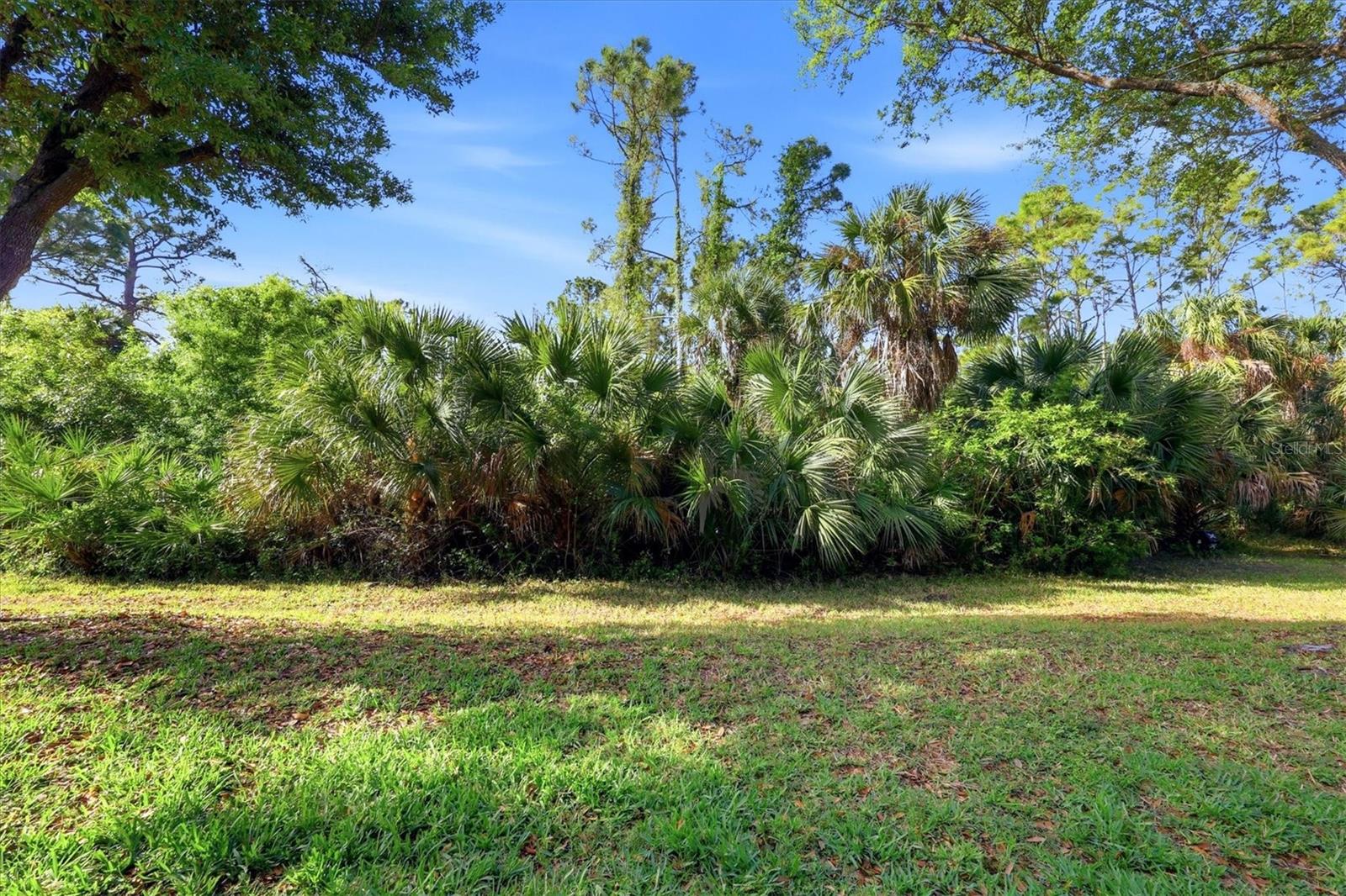 Image 39 of 58 For 1177 Jonah Drive