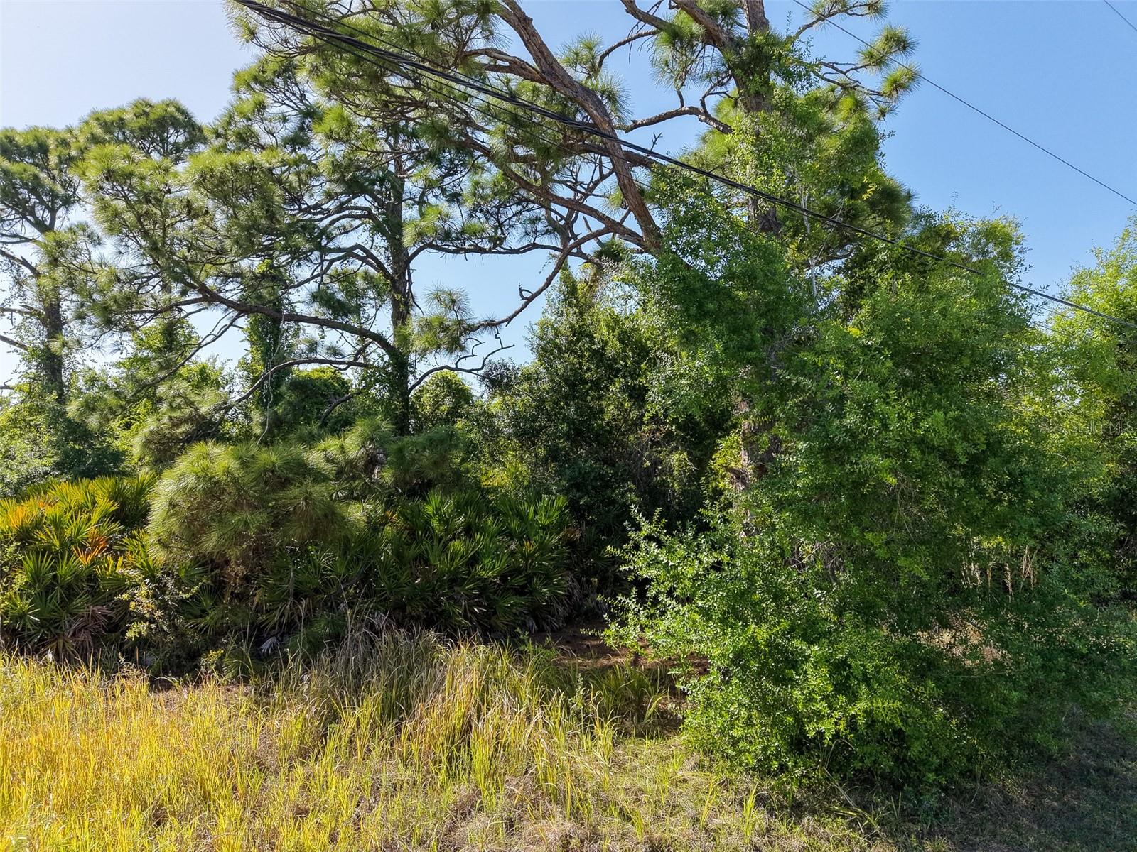 Image 12 of 14 For 274 Sweetwater Drive