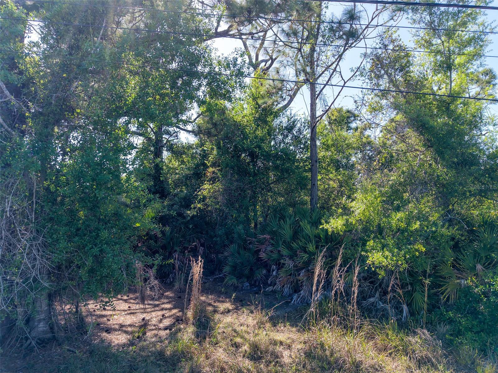 Image 13 of 14 For 274 Sweetwater Drive