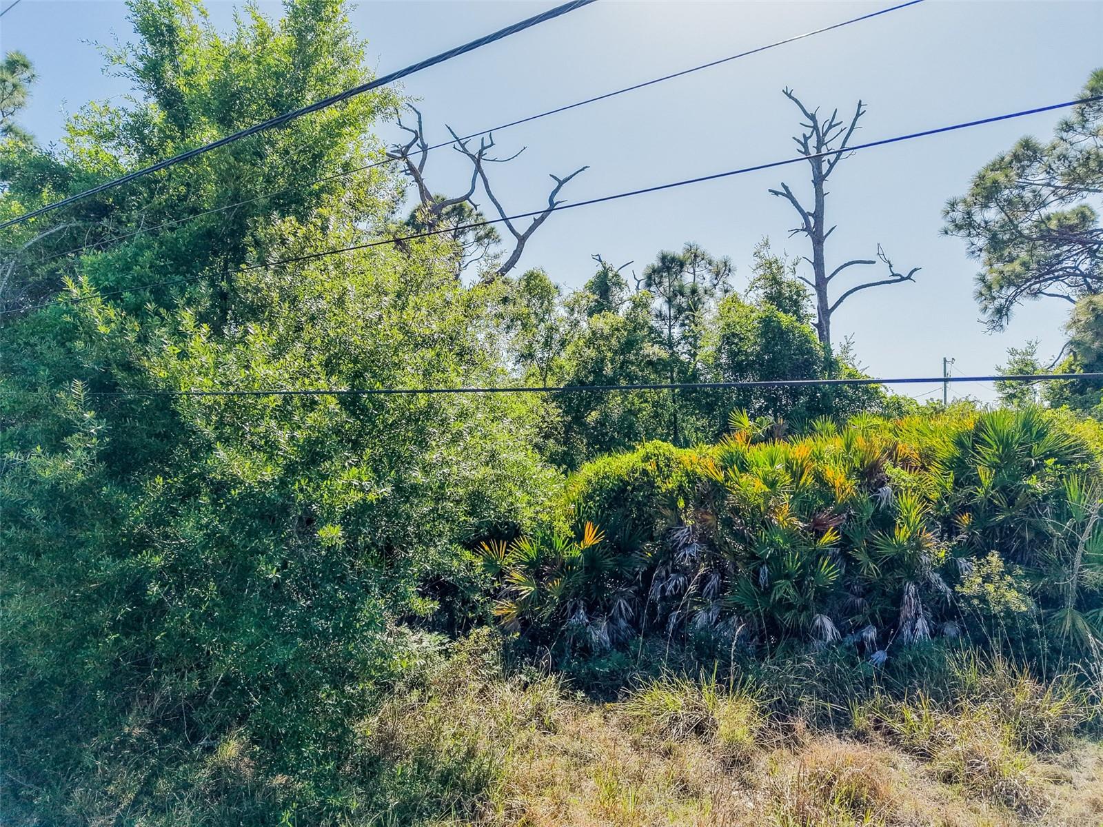 Image 14 of 14 For 274 Sweetwater Drive