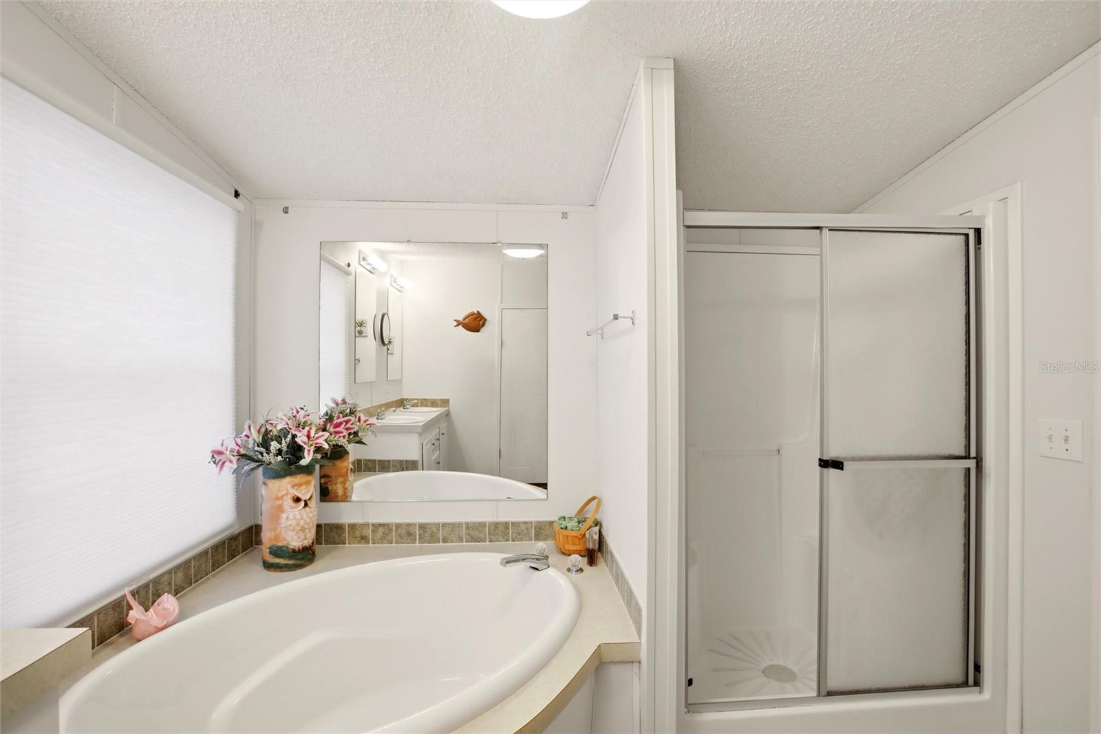 Image 18 of 33 For 184 Manatee Loop