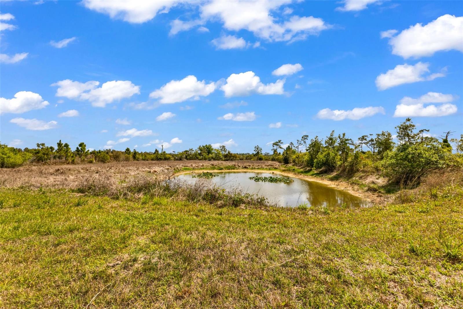 Image 47 of 84 For 32634 Oil Well Road