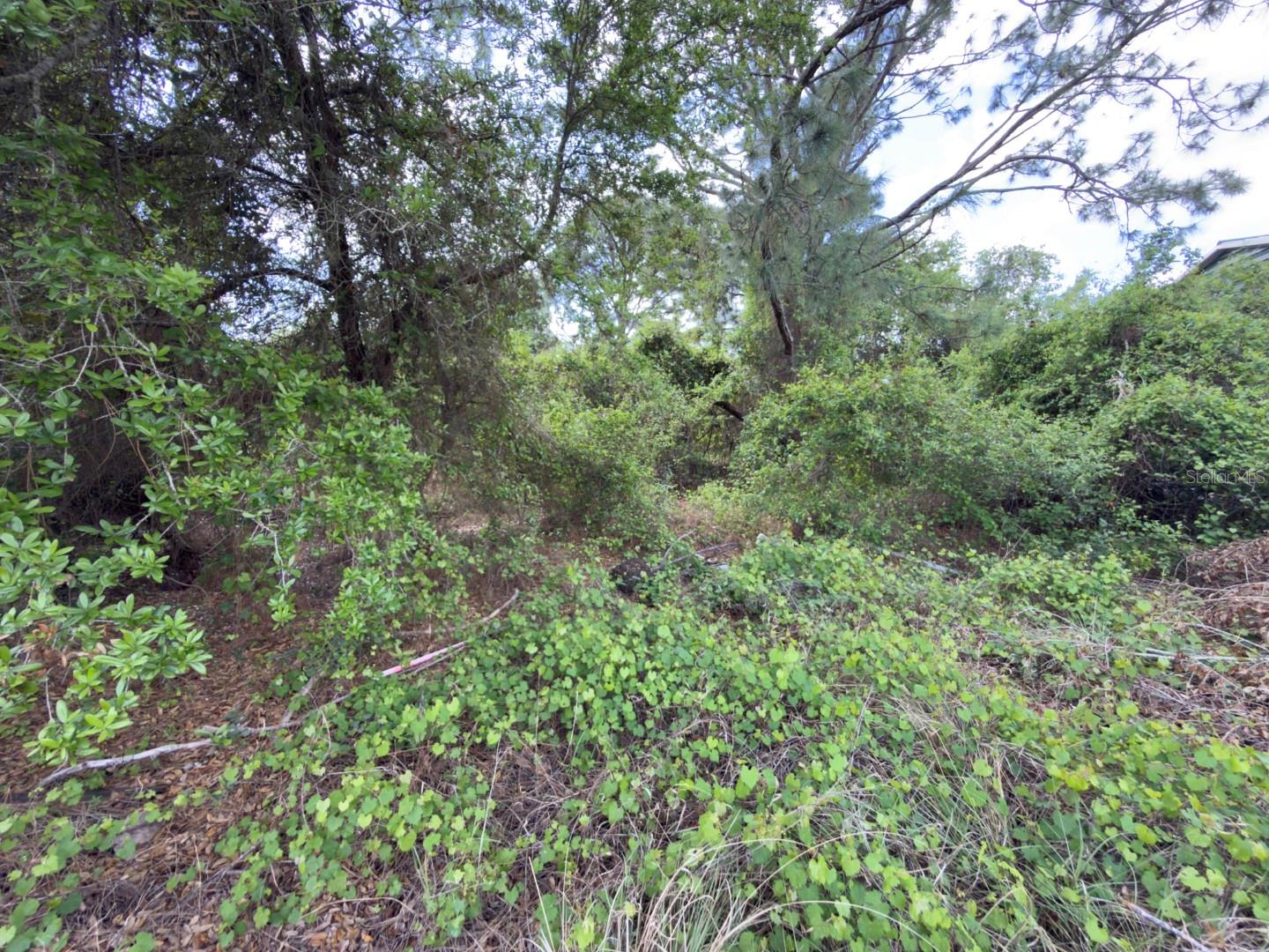 Image 3 of 8 For 4529 28th Street Sw