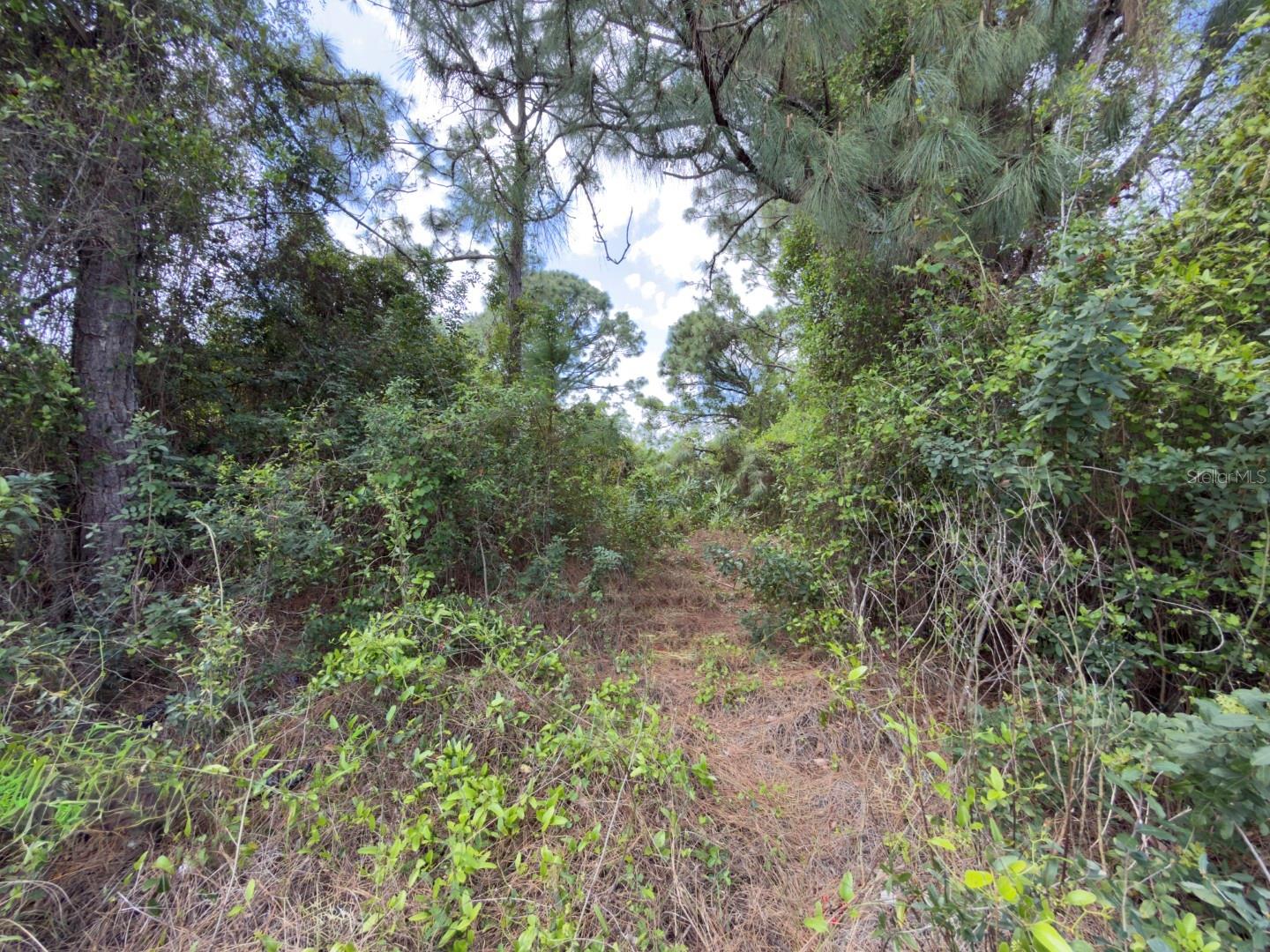 Image 4 of 8 For 4529 28th Street Sw