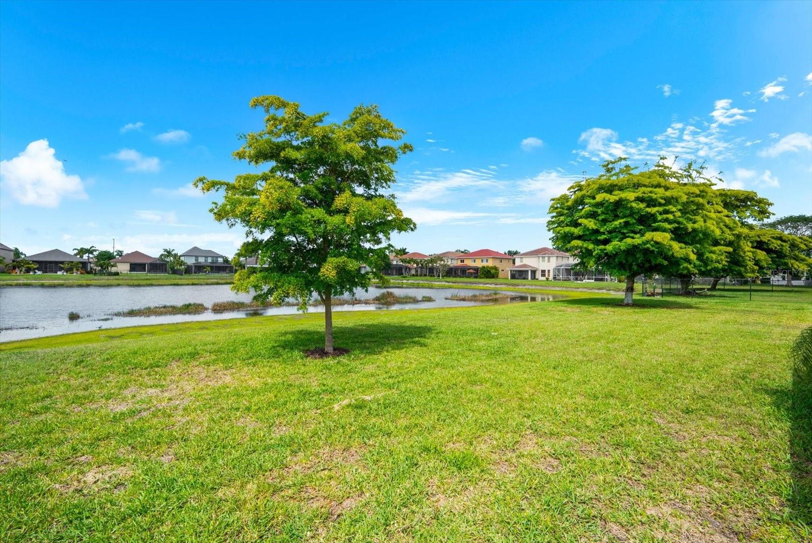 Image 53 of 74 For 24033 Canal Street