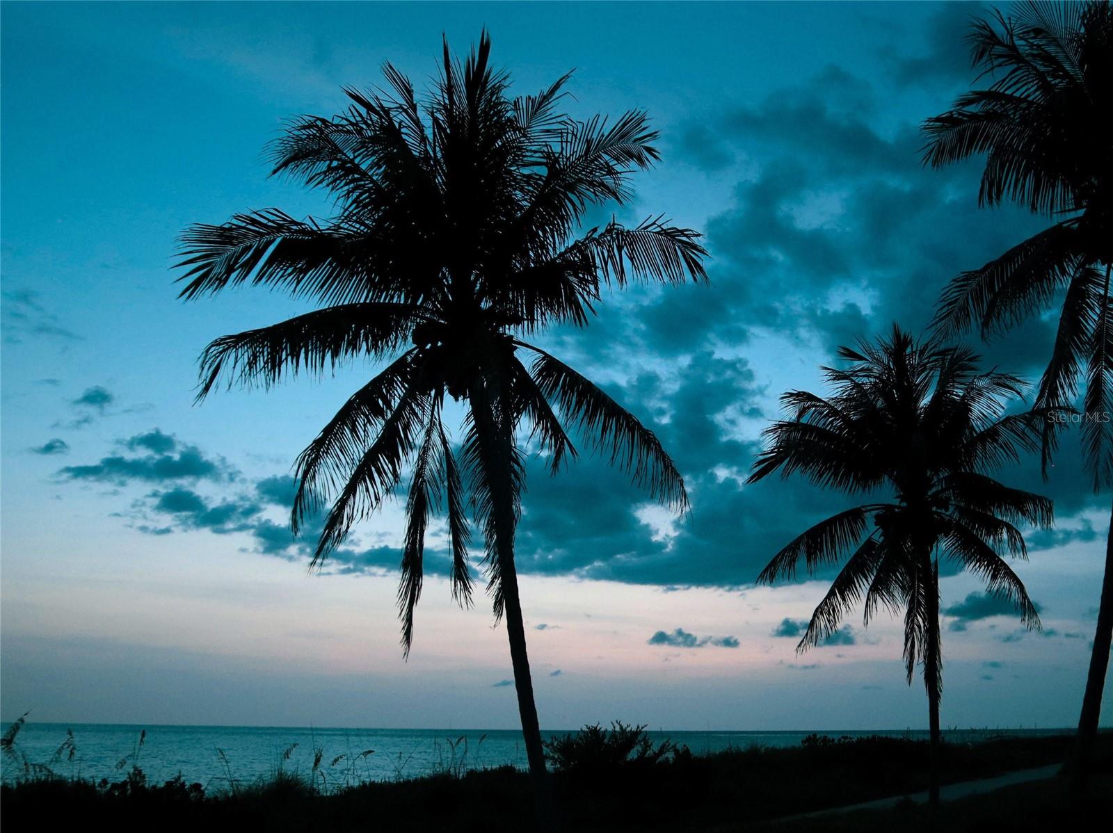 Image 85 of 85 For 915 Beach Road 215