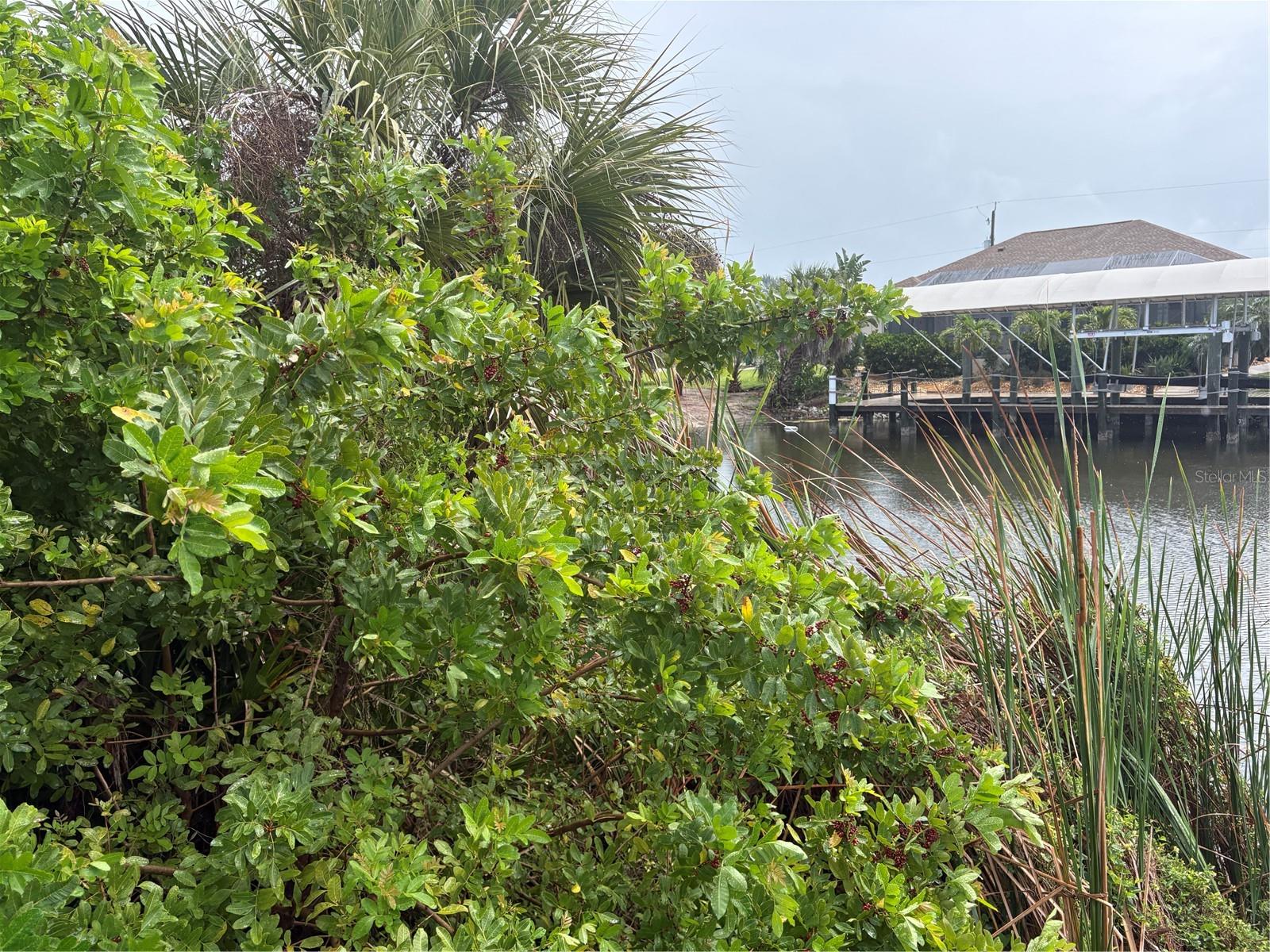 Image 8 of 9 For 9444 Migue Circle