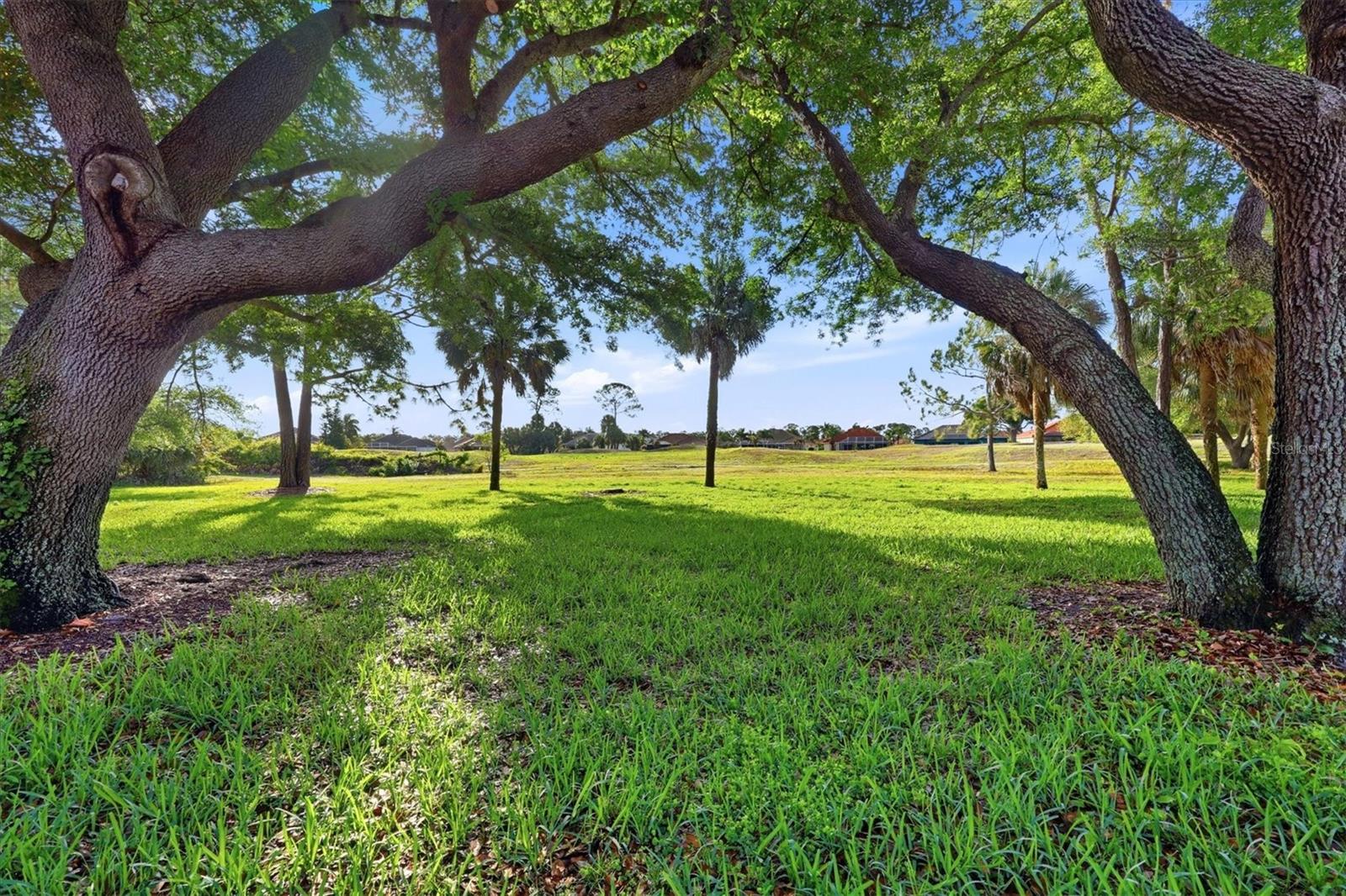 Image 30 of 33 For 2024 Lynx Run