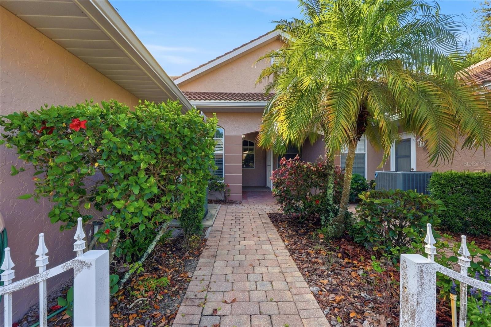 Image 4 of 33 For 2024 Lynx Run