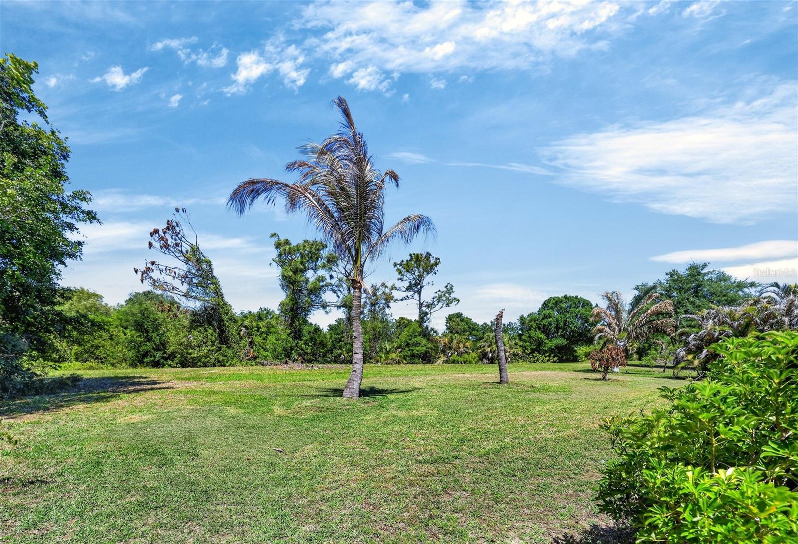 Image 31 of 39 For 501 San Cristobal Avenue