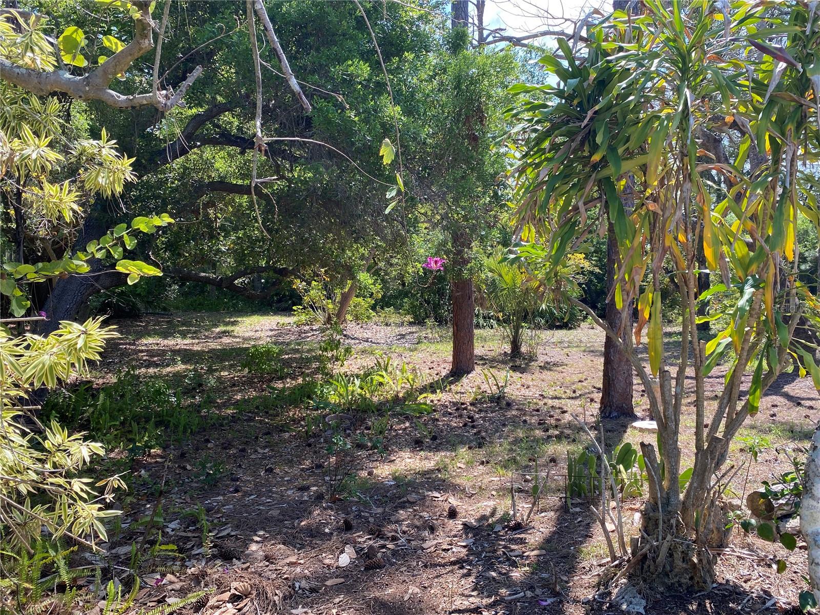 Image 4 of 37 For 9191 Gewant Boulevard