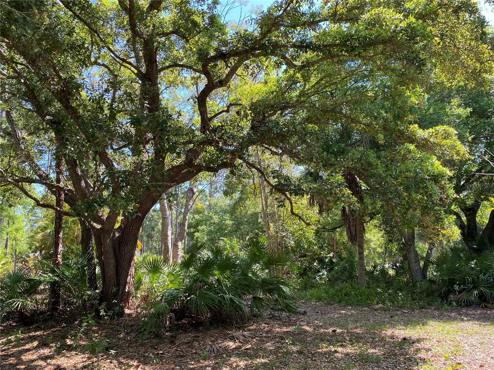 Image 6 of 37 For 9191 Gewant Boulevard