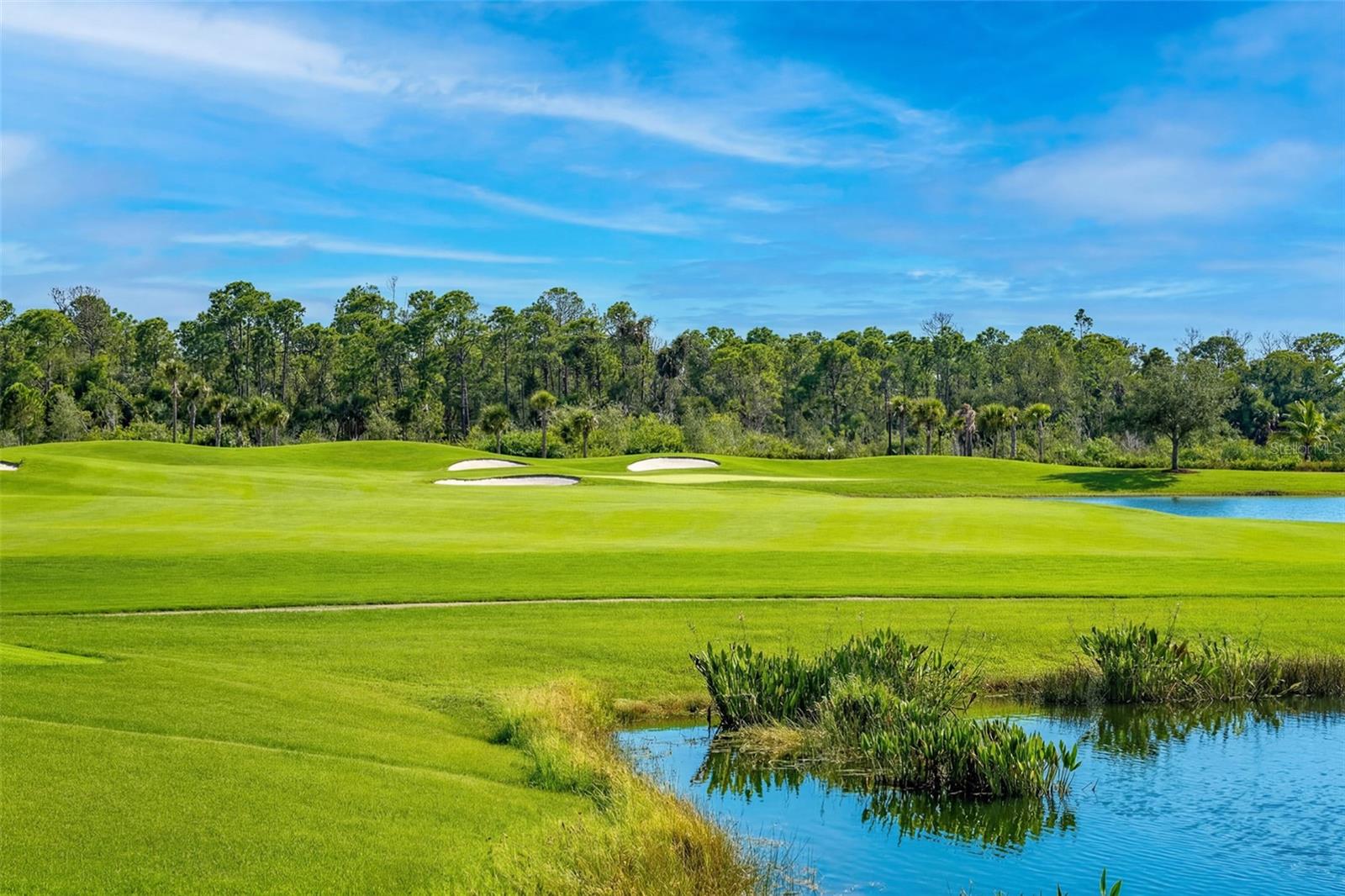 Image 56 of 73 For 25228 Keygrass Court