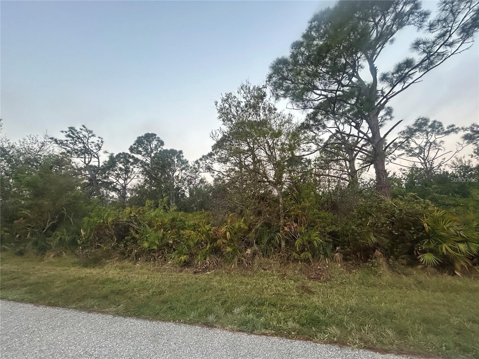 Image 4 of 4 For 6261-6269 Blackberry Street