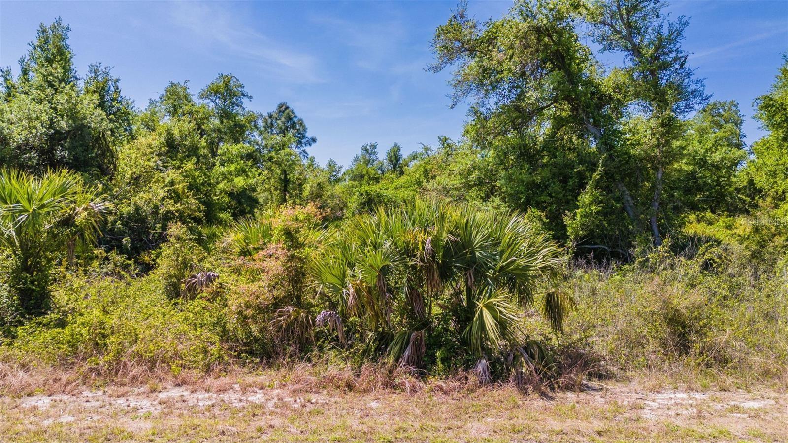 Listing photo id 2 for Hamburg Drive