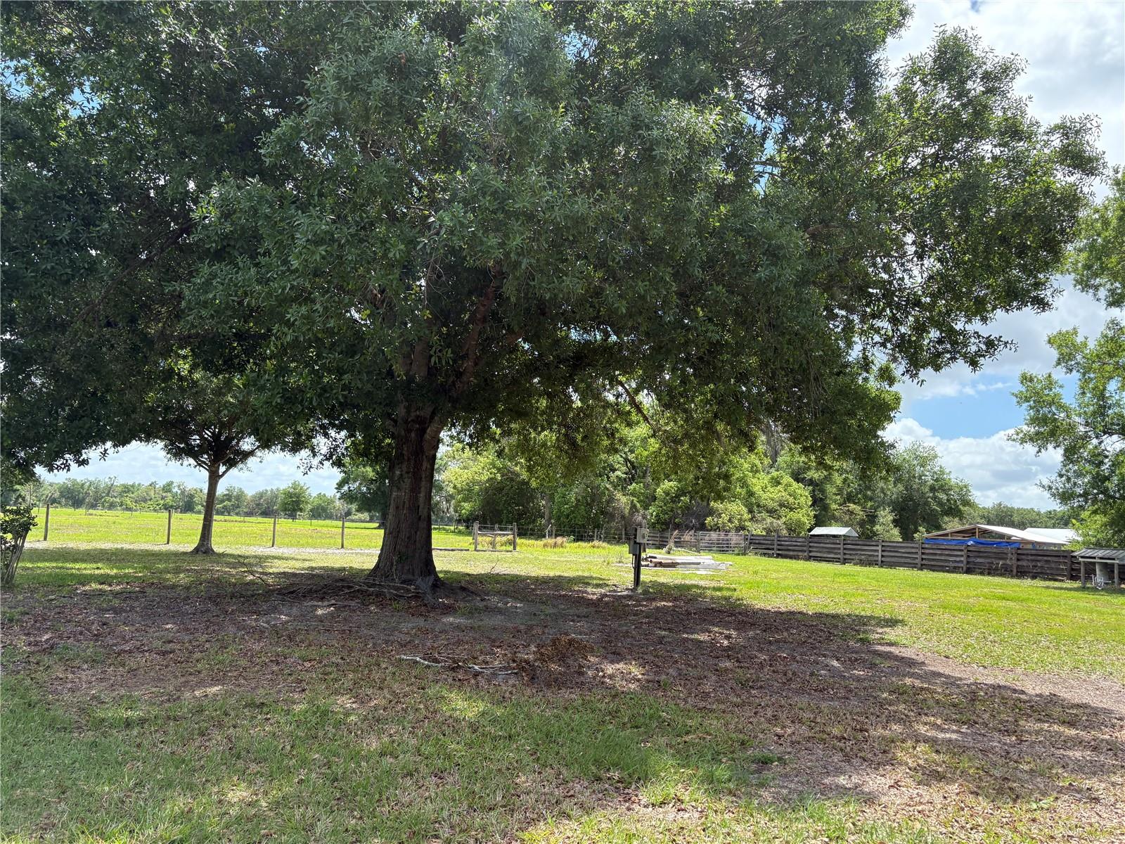 Image 3 of 3 For 4884 County Road 661 Road