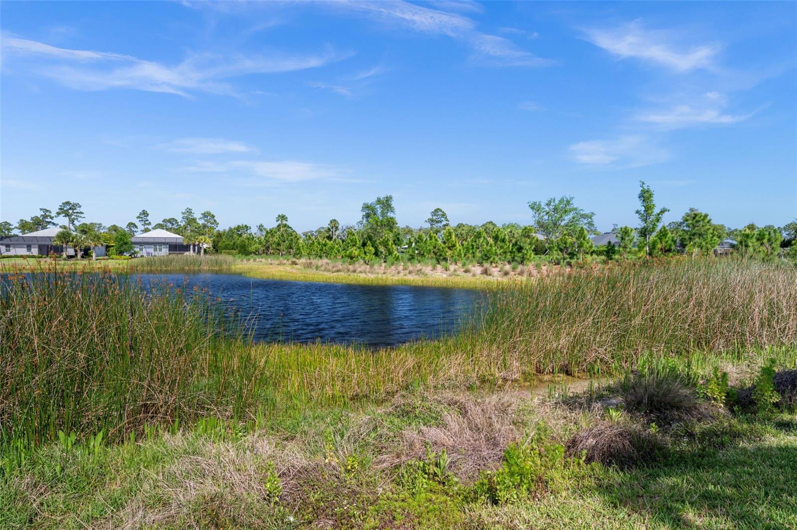 Image 42 of 57 For 16081 Pennyroyal Lane