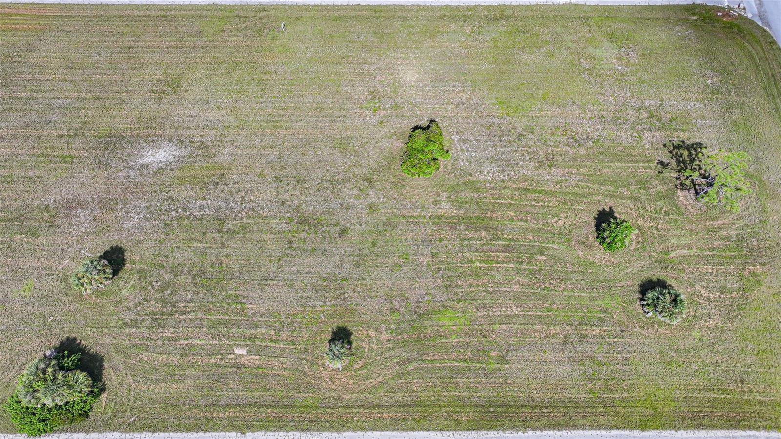 Image 6 of 11 For 37 Willow Road