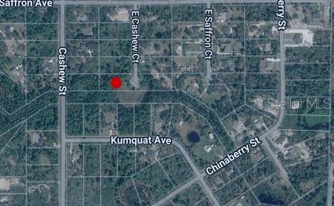 Details for Cashew Court, EUSTIS, FL 32736