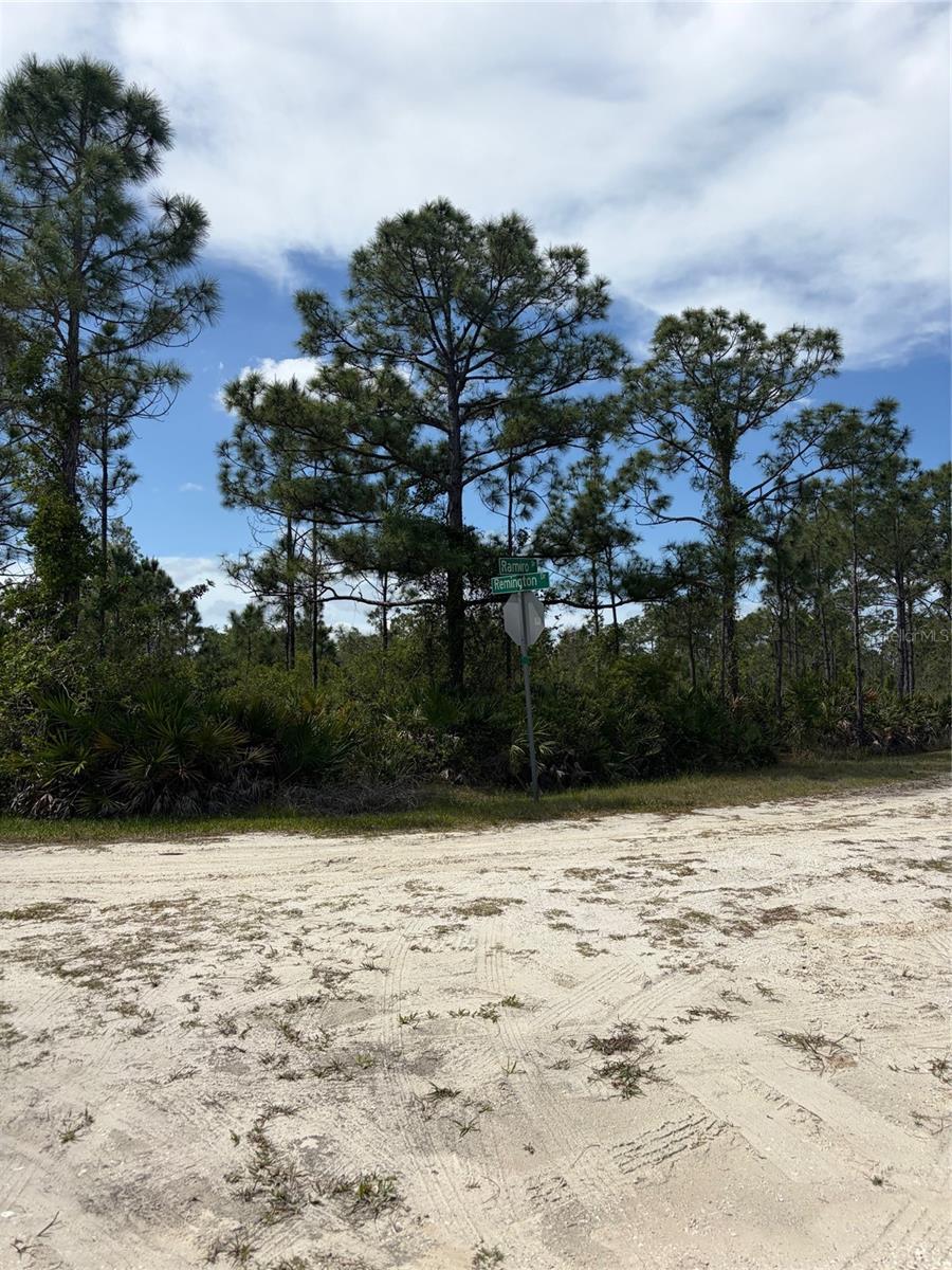 Image 2 of 3 For 28131 Ramiro Drive