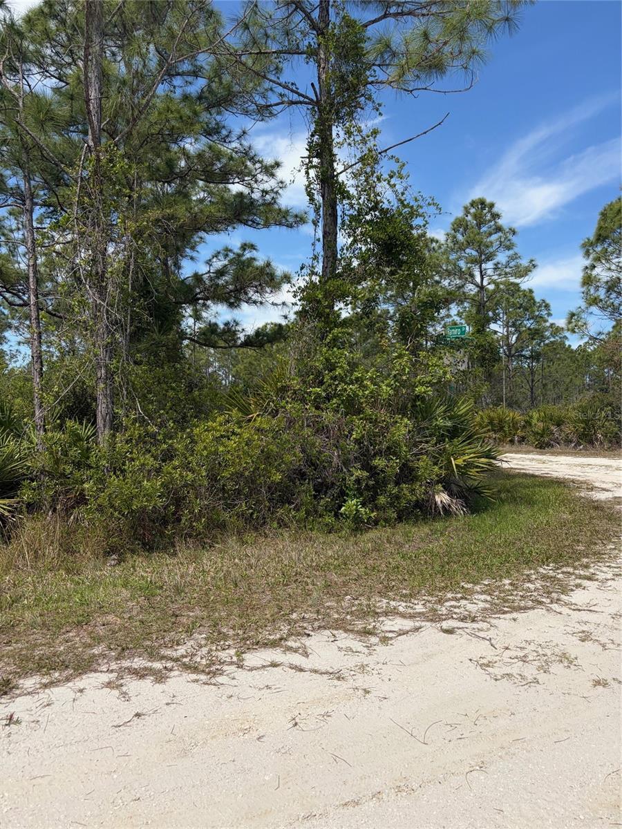 Image 3 of 3 For 28131 Ramiro Drive