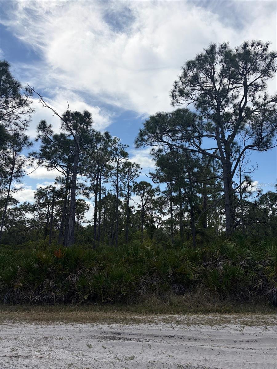 Details for 28078 Ramiro Drive, PUNTA GORDA, FL 33955