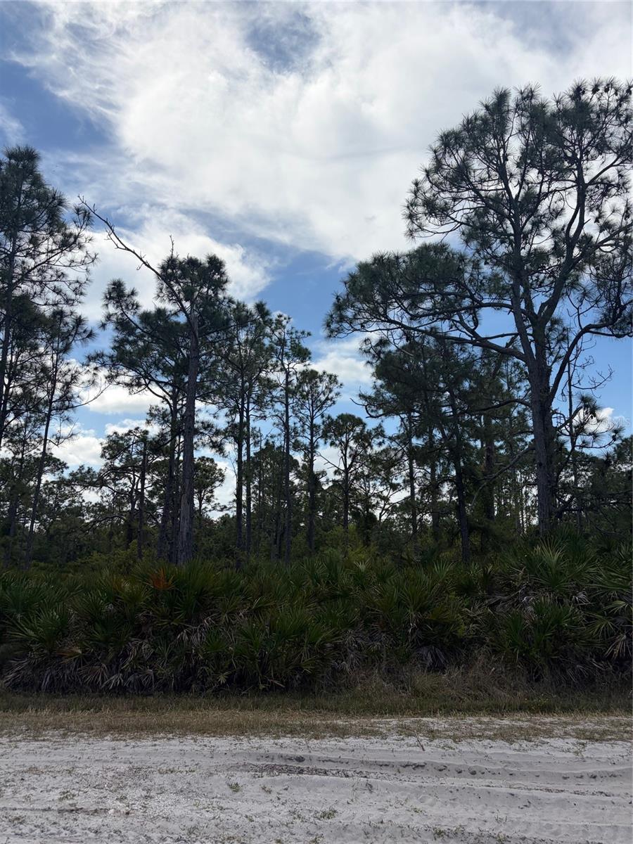 Image 2 of 3 For 28078 Ramiro Drive