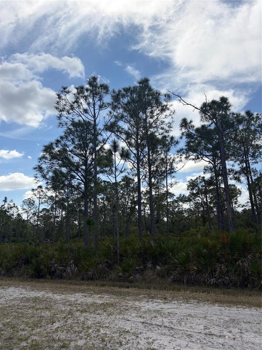 Image 3 of 3 For 28078 Ramiro Drive