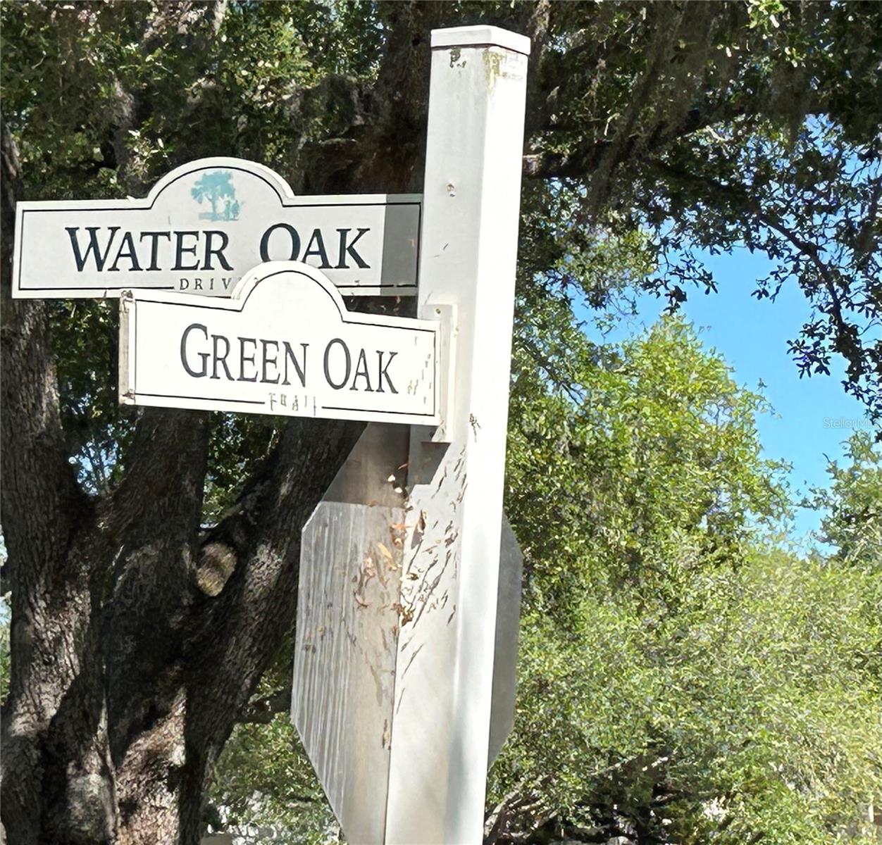 Image 2 of 56 For 19365 Water Oak Drive J107