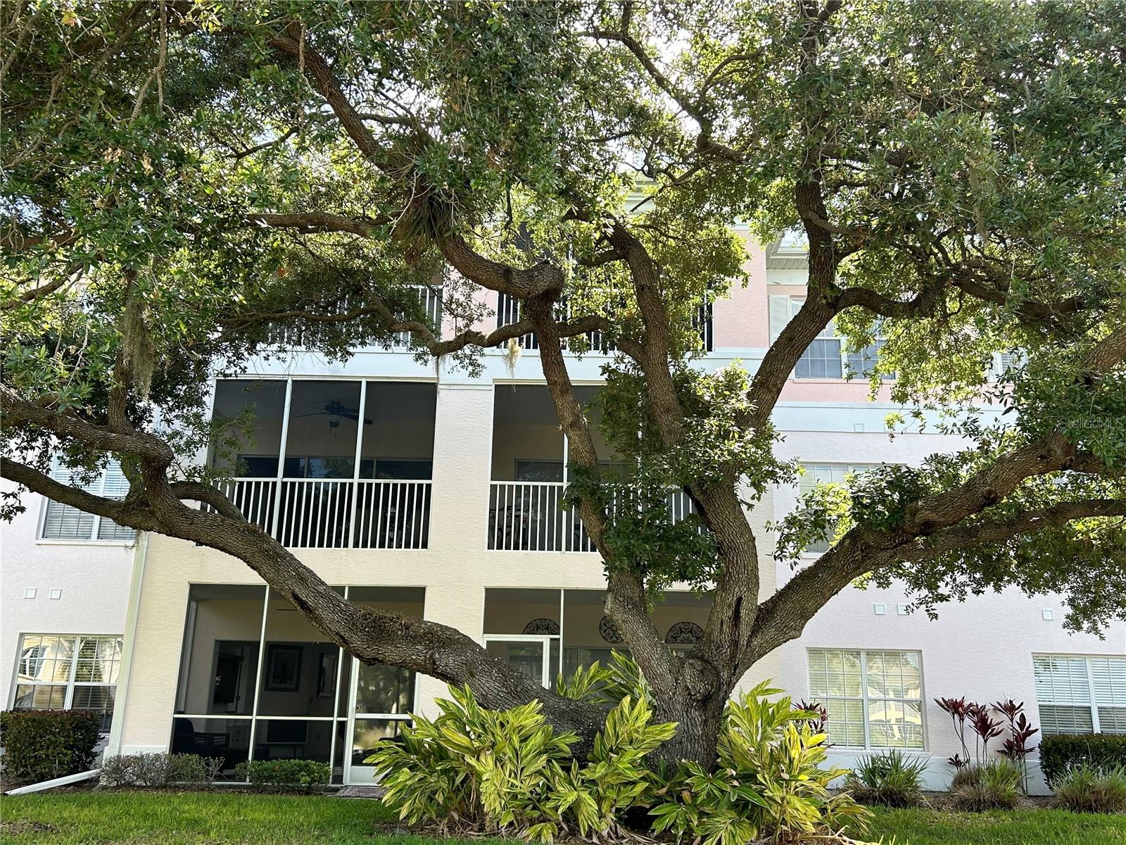 Image 43 of 56 For 19365 Water Oak Drive J107