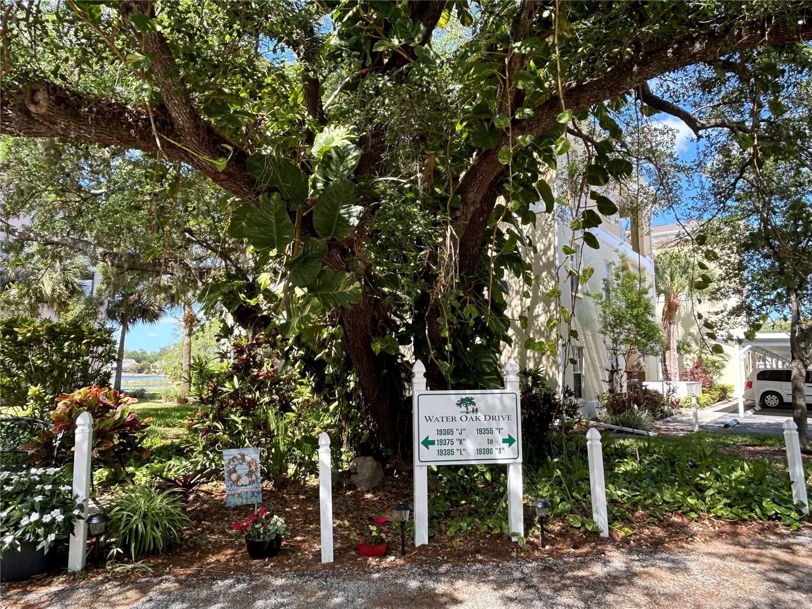 Image 50 of 56 For 19365 Water Oak Drive J107