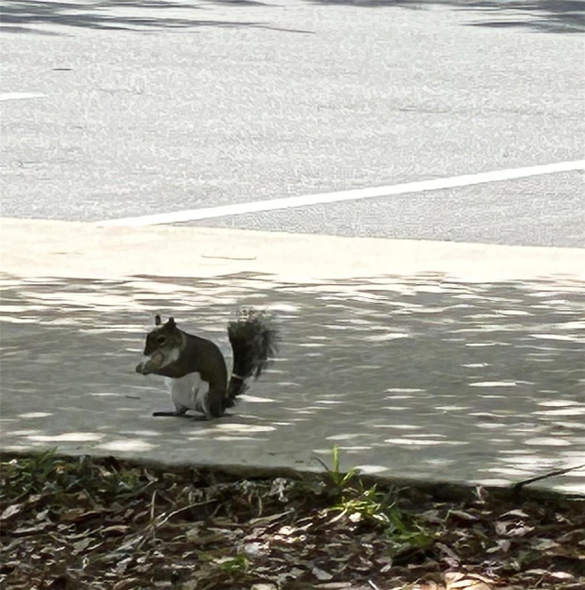 Image 52 of 56 For 19365 Water Oak Drive J107